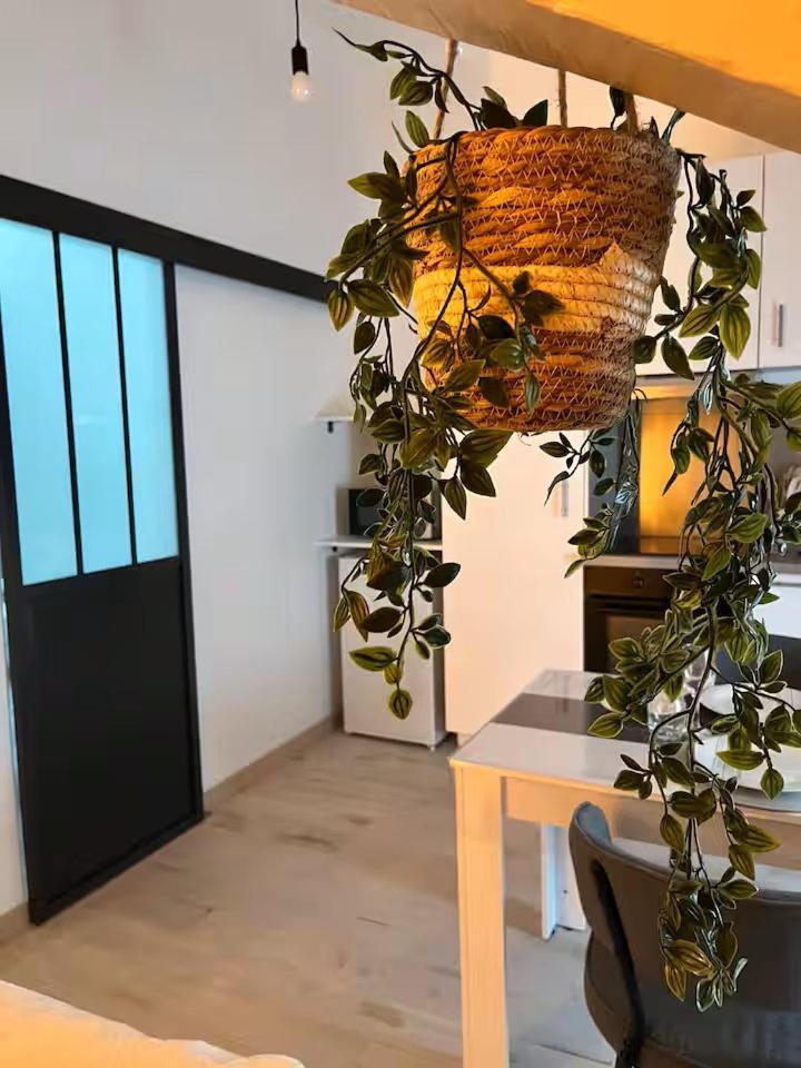 Chtx-Style Ancien - Fibre - Commerces - Transports Chateauroux Ngoại thất bức ảnh